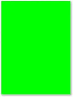 Royal Consumer Brites Neon Green Poster Board, 22 x 28 Inches, 25 Sheets/Pack (23304B) Fluorescent