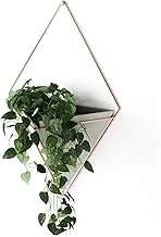 Umbra Trigg Hanging Planter Large Brown 470752-633