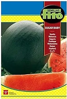 EUro Garden Saia Sugar Baby Seeds 8 G