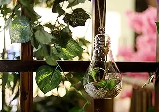 YATAI Hanging Planters Glass Terrarium Globes Ball Vase Succulents Moss Miniature Garden Planters Home Decor Indoor Garden DIY Gifts