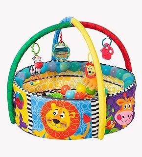 Playgro Ball Playnest Activity Gym For Baby Infant Toddler