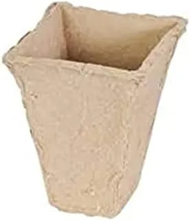 Dubai Garden Centre Biodegradable Pot, 6 cm Size