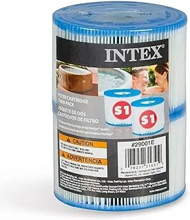 Intex Type S1 Filter Cartridge for PureSpa, Twin Pack