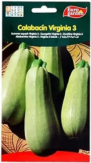 Euro Garden Summer Squash Virginia