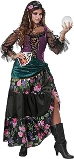 California Costumes 01108 Mystical Charmer Adult Sized Costumes, Multi, Medium