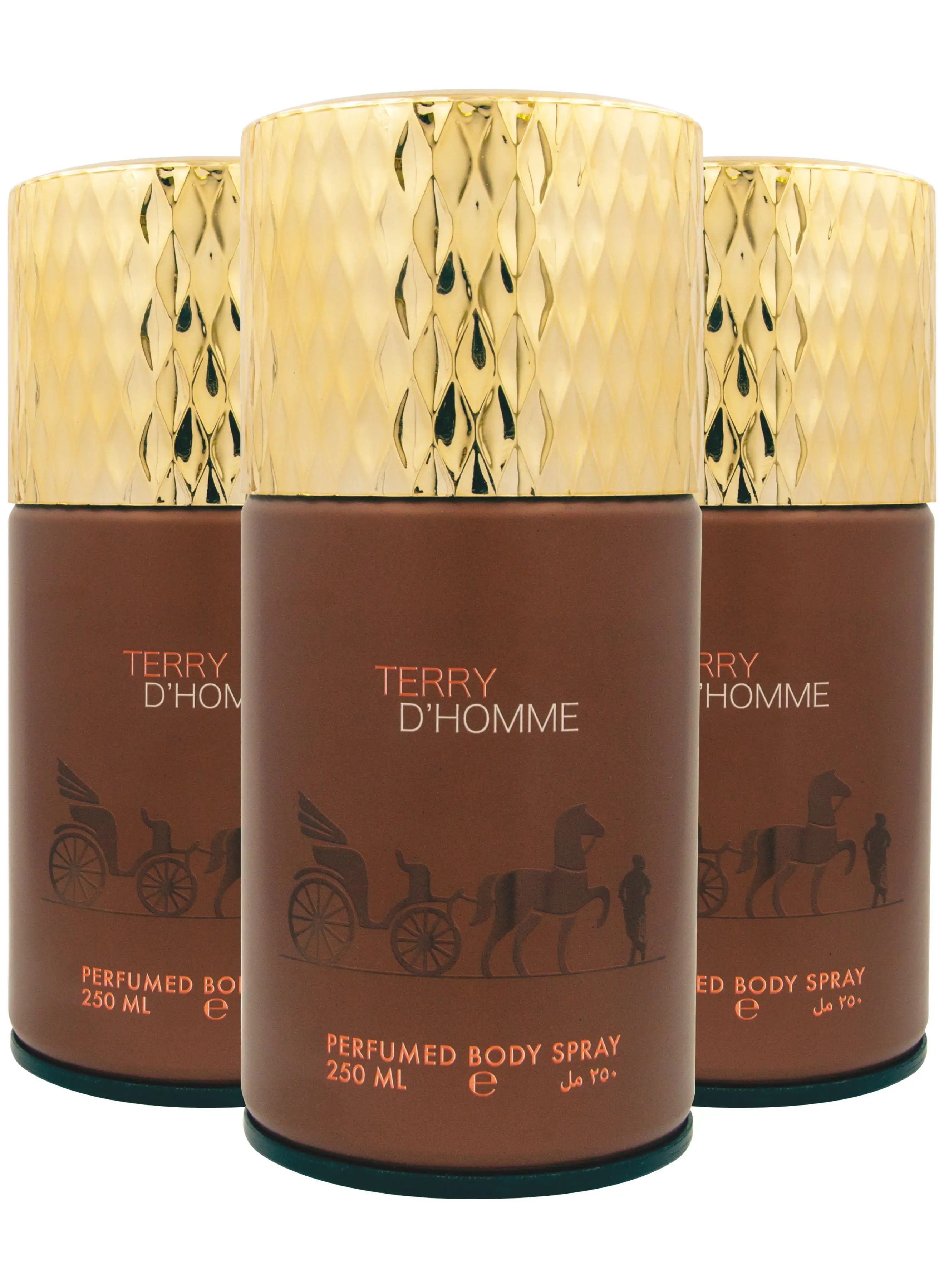 Elegant Terry Dhomme Perfumed Spray 250ml Pack Of 3