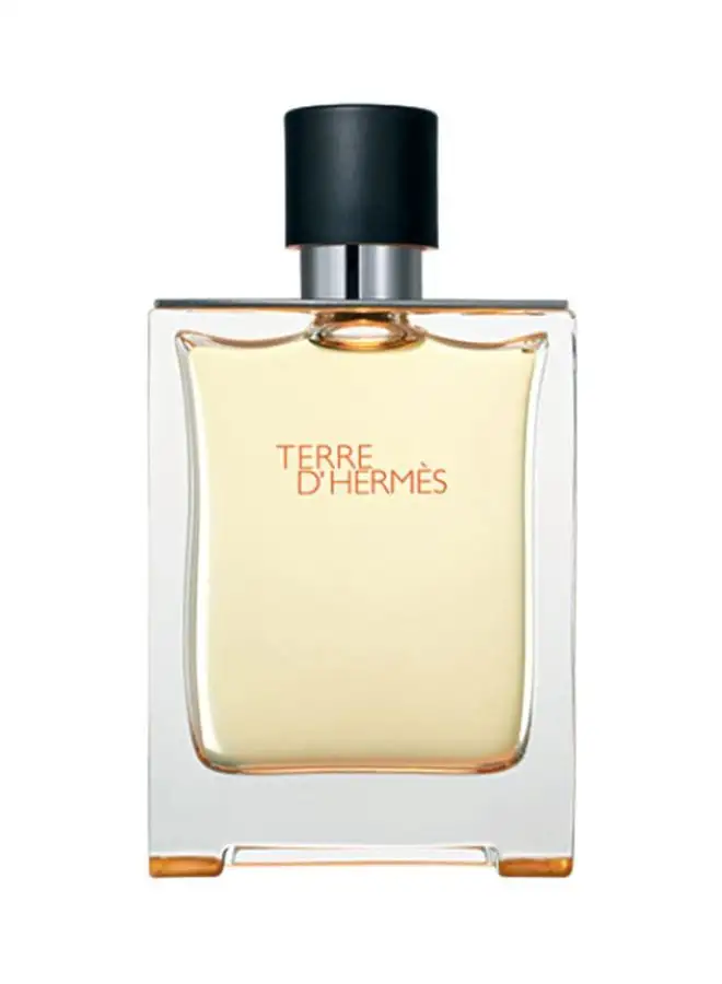 HERMES Terre D' Hermes EDT 100ml