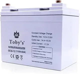 Toby's 30A Rechargeable Battery with 220V and 300W Power Inverter, One Size