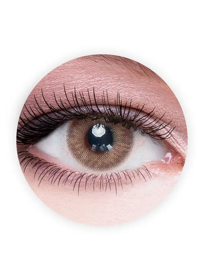 Dahab Cat Eye (Light Brown) 9 Months Contact Lenses