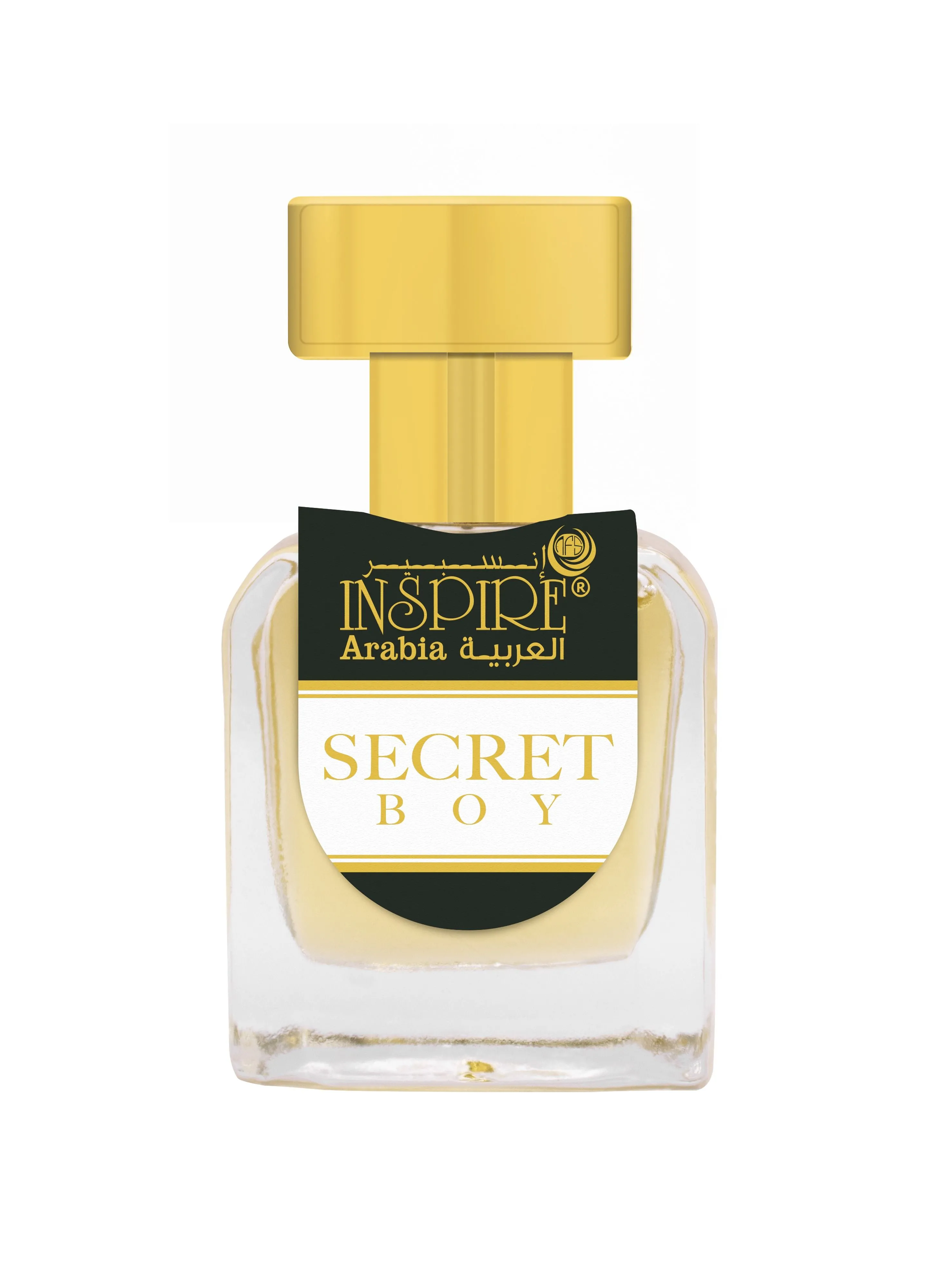 Inspire Secret Boy 20ML Concentrated Perfume Oil