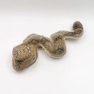 NutraPet The Slithering Snake