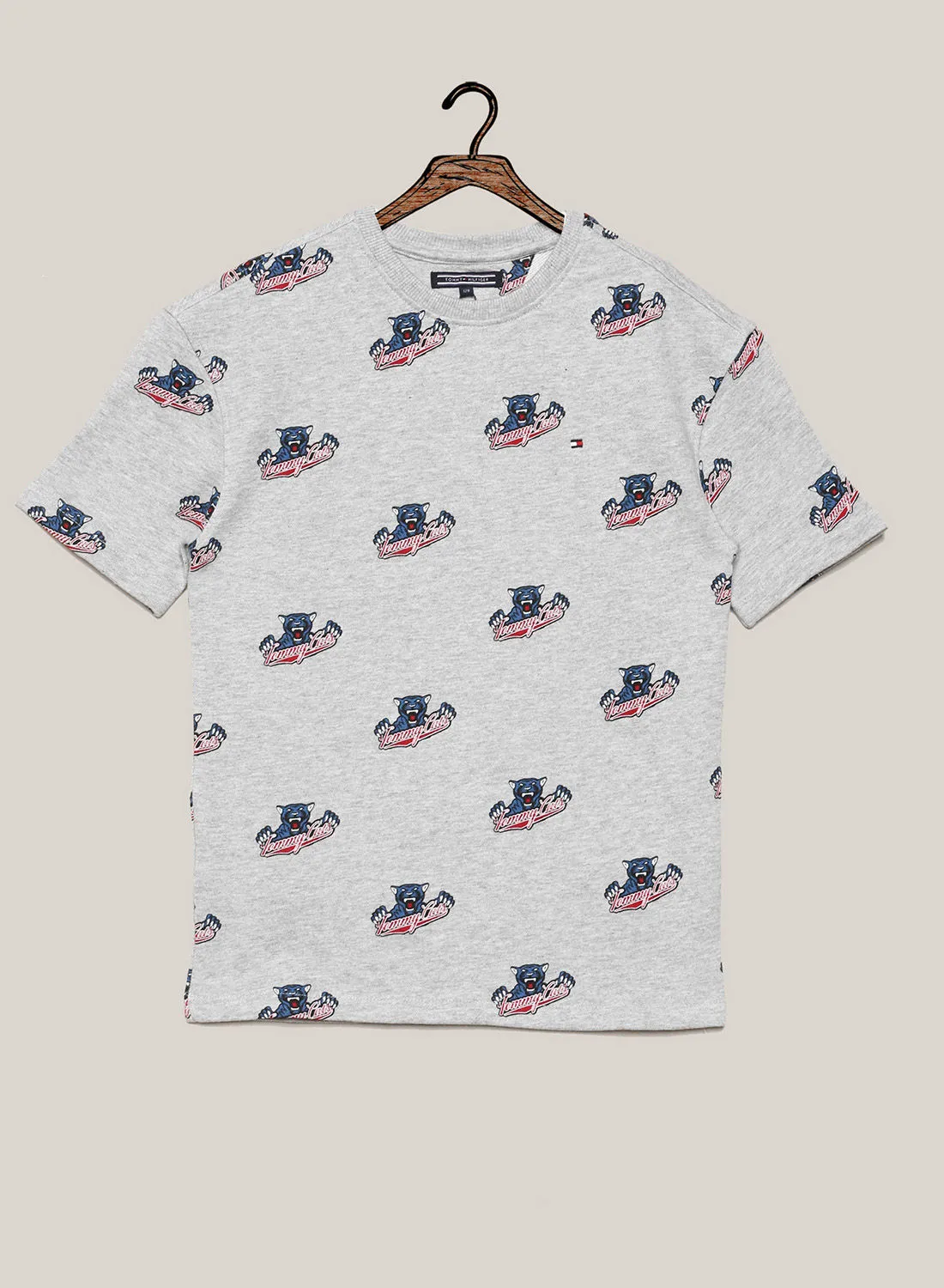 TOMMY HILFIGER Short Sleeve Shirt Grey/Blue/Red