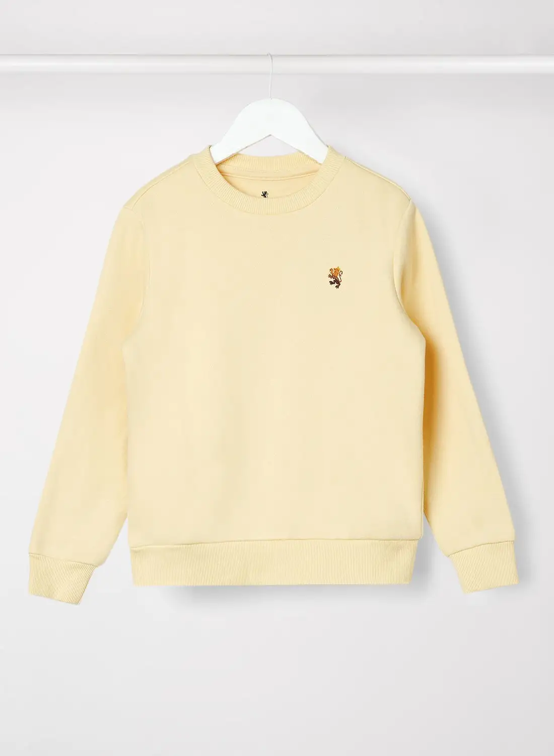 Red Tape Boys Casual Sweatshirt Yellow