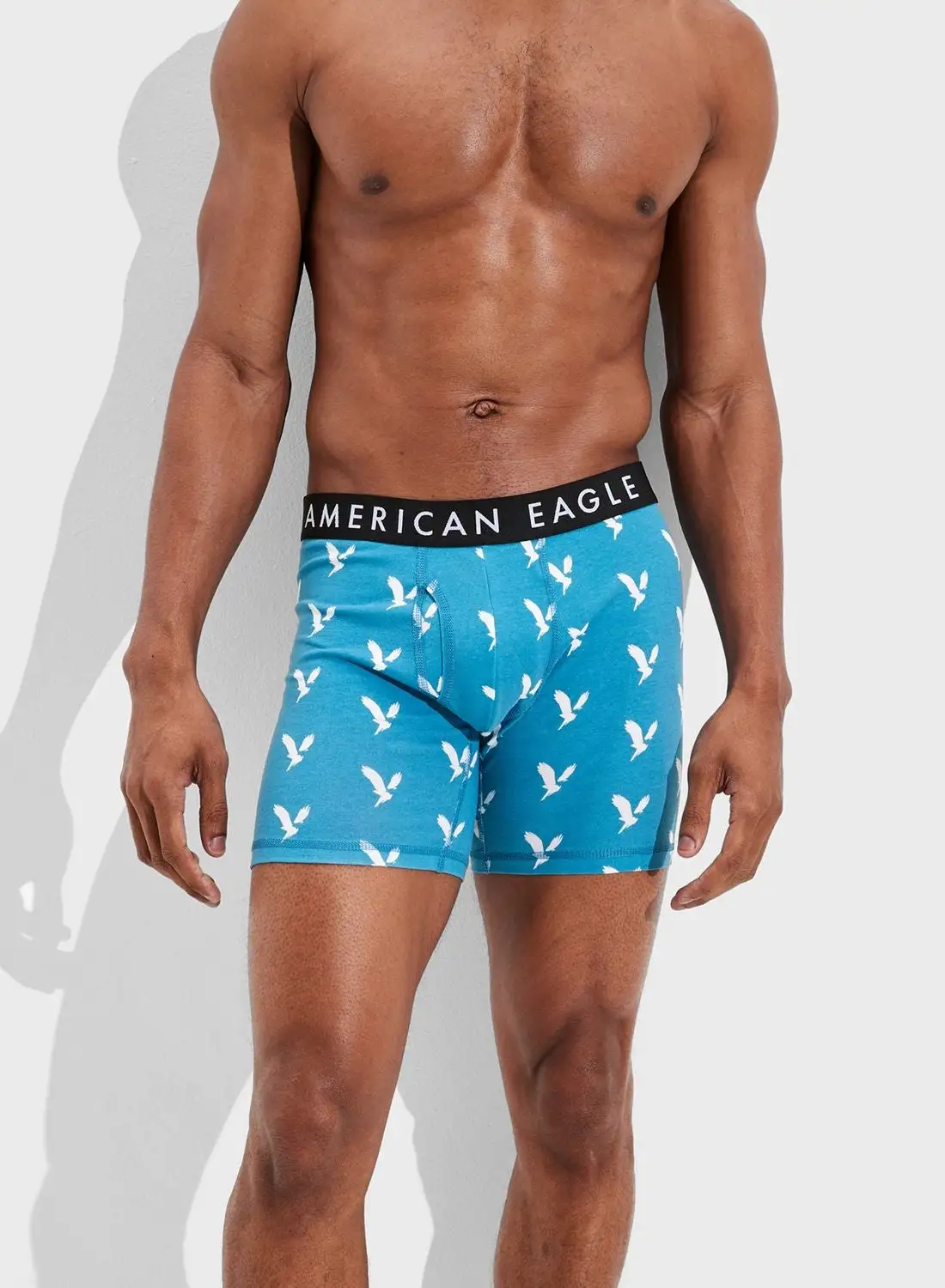 American Eagle Logo Band Printed Boxers