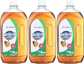 Renol liquid disinfectant, 2.25 litre, set of 3 pieces - Package May Vary