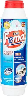 Fema powder multi purpose cleaner , 1kg