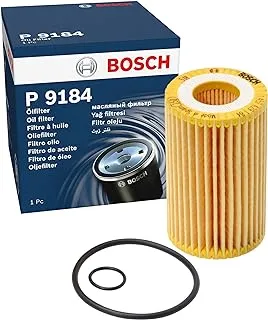 BOSCH Oil Filter Element Renault Clio 2