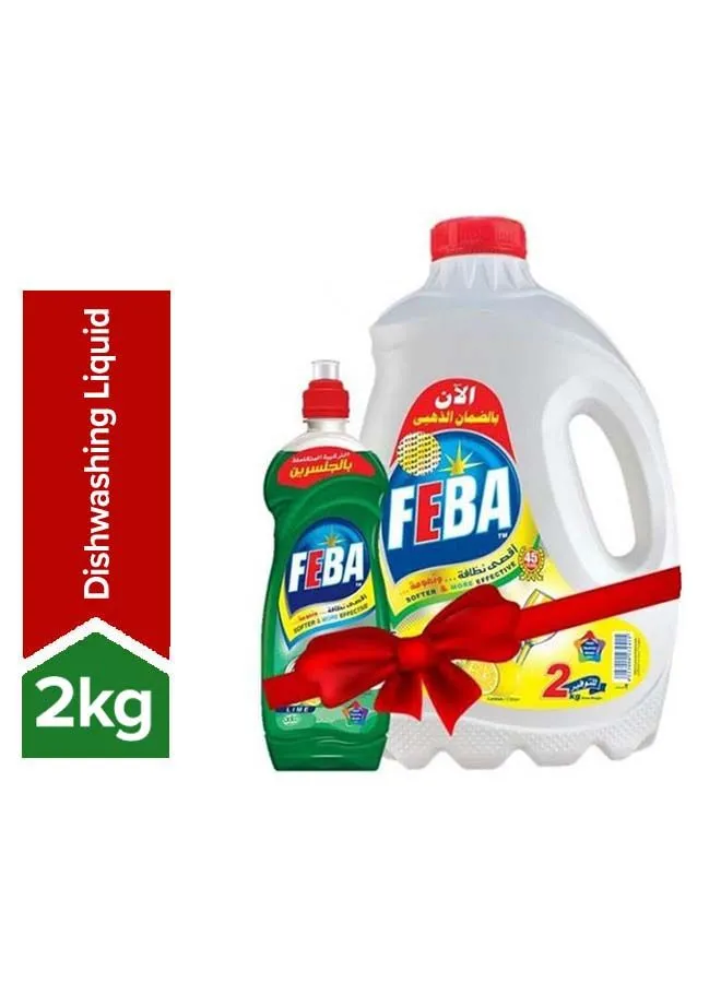 FEBA Dish Cleaner- With Feba Pack- 480 gm Multicolour 2kg