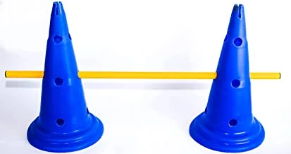 Sport One Set of two multifunctional training cones with 12 holes 50cm - blue with yellow plastic stick