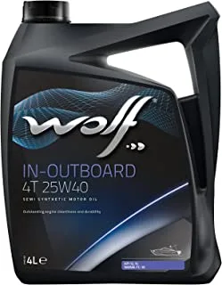 Wolf In-Outboard 4T 25W40-4L