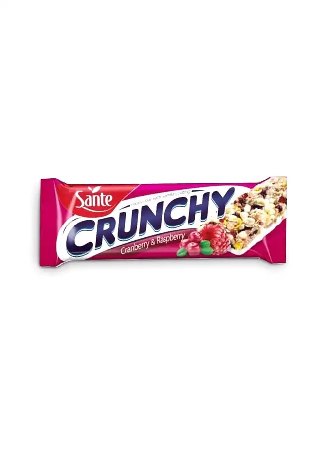 Sante Crunchy Cranberry & Raspberry Chocolate Bar 40grams