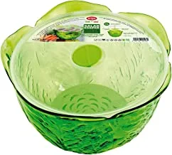 Snips 020420 Save Salad, Green, 24.5 x 24.5 x 15.5 cm