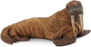 Collecta sea life walrus toy figure - authentic hand painted model-multi size