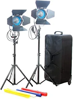 CAME-TV 2pcs 650W Tungsten Fresnel Lights Video Spot Film Light + 2 Stands + Bag - J6200