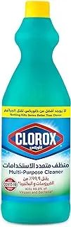 Clorox Multipurpose Cleaner 1L