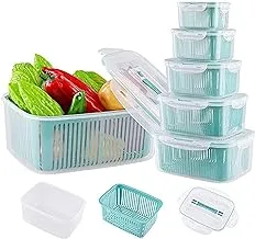 Fruit and Vegetable Storage Container for Fridge 5 psc