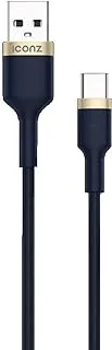 Braided Type C Cable Navy Gold 1m