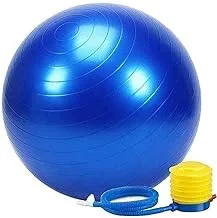 King Lion Gymnastic Ball Size 75cm With Blower Blue