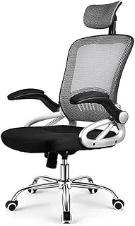 Ergonomic Office Chair, High-Back Reclining Chair, Comfortable Mesh Computer Chair,Cushion Lumbar Support, with Adjustable Swivel Rolling Gaming Chair (Grey)