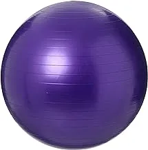 King Lion Gymnastic Ball Size 65cm With Blower Purple