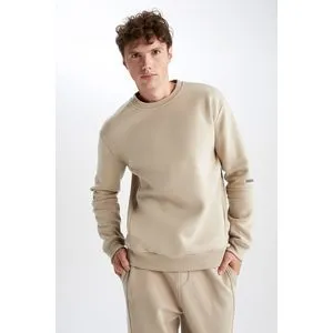 Defacto Man Standard Fit Long Sleeve Sweatshirt