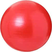 King Lion Gymnastic Ball Size 65cm With Blower Red