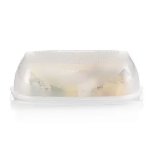 Tupperware Cheesesmart Rectangular Food Container