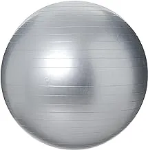 King Lion Gymnastic Ball Size 65cm With Blower Grey