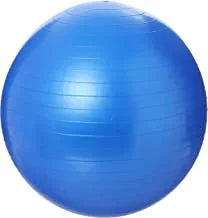 King Lion Gymnastic Ball Size 65cm With Blower Blue