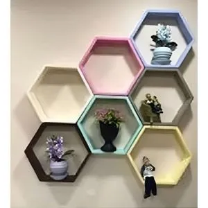 Hexagon Plastic Decorative Shelf, Multicolour