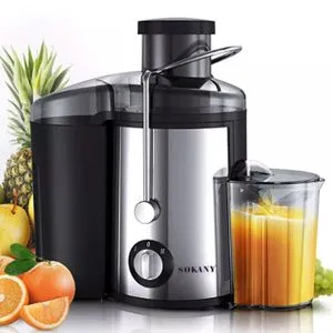 Sokany SK-JB-175 - Fruit Juicer - 500 Watt - Silver/black