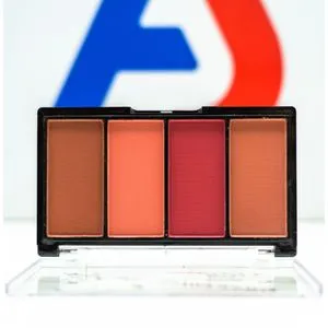 Me Now Pro New Blusher Set 13.2g - 4 Colors - D Series