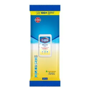 Clorox Clorox Disinfecting Wipes Fresh Scent 40 Wipes