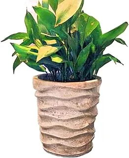 Shaheen farouk designs polyster stone decorative planter pot for offices, home decore and garden, (h50*d50) - beige