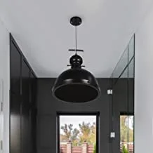 El rawda rl-ss-003 metal ceiling lamp with bulkhead - black