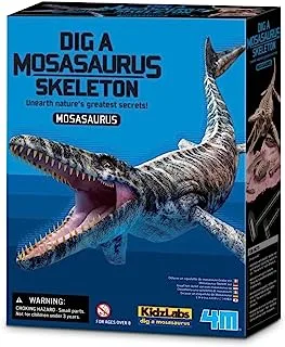 Dig a mosasaurus skeleton