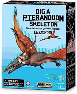 Dig a pteranodon skeleton