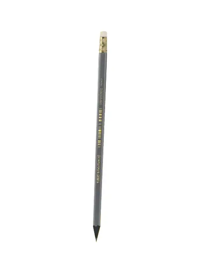 Bic Pack Of 12 Evolution HB Pencil With Eraser Grey/White