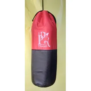 Digital Pharaoh Thermal Bottle Case 1.5 L