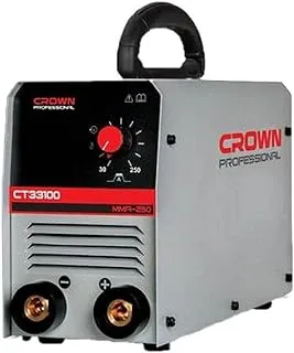 Inverter 300A 220V Chinese Crown Digital Solder